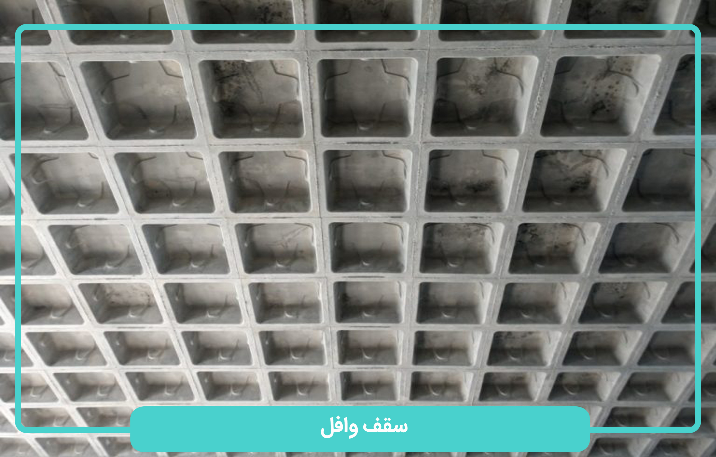 هلدینگ سپنتا