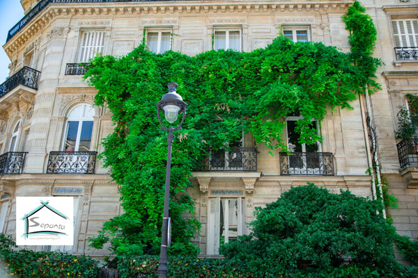 نمای سبز به همراه نمای سنگ