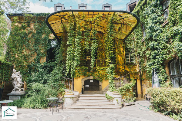 انواع گیهان در نمای سبز