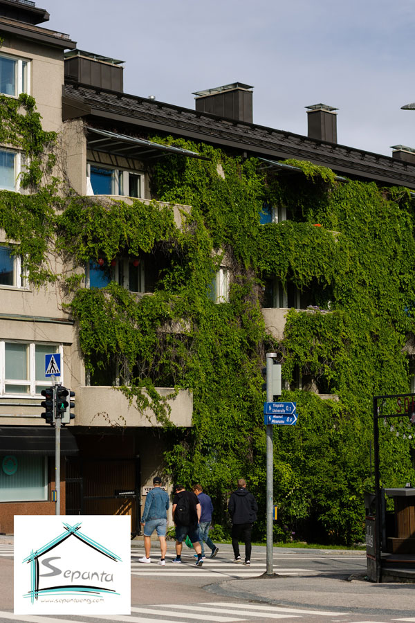 گیاهان آویز در نمای سبز ساختمان