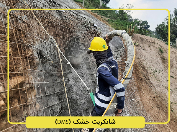 هلدینگ سپنتا