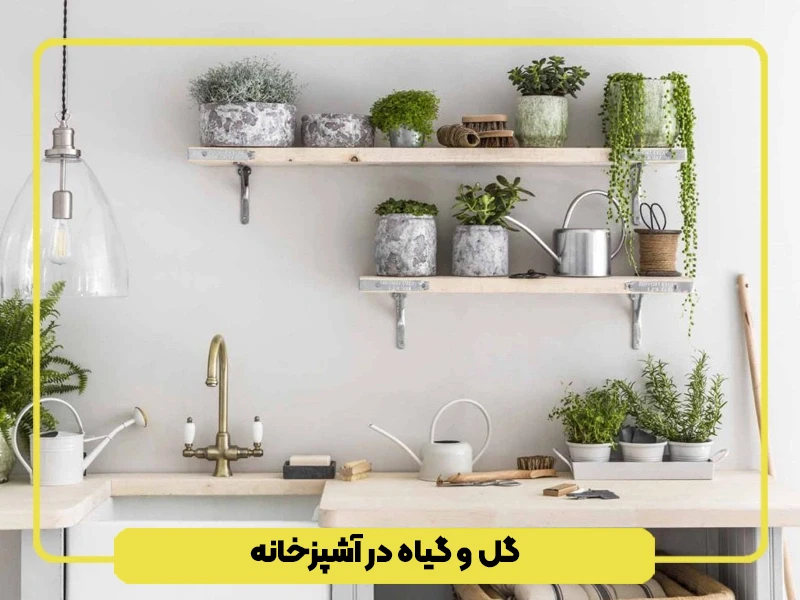 استفاده از گل و گیاه