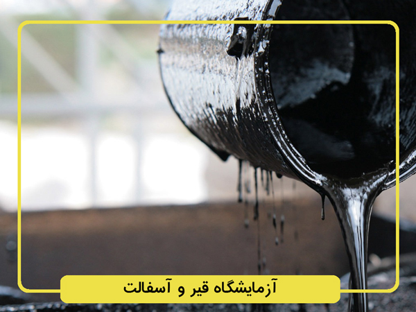 هلدینگ سپنتا